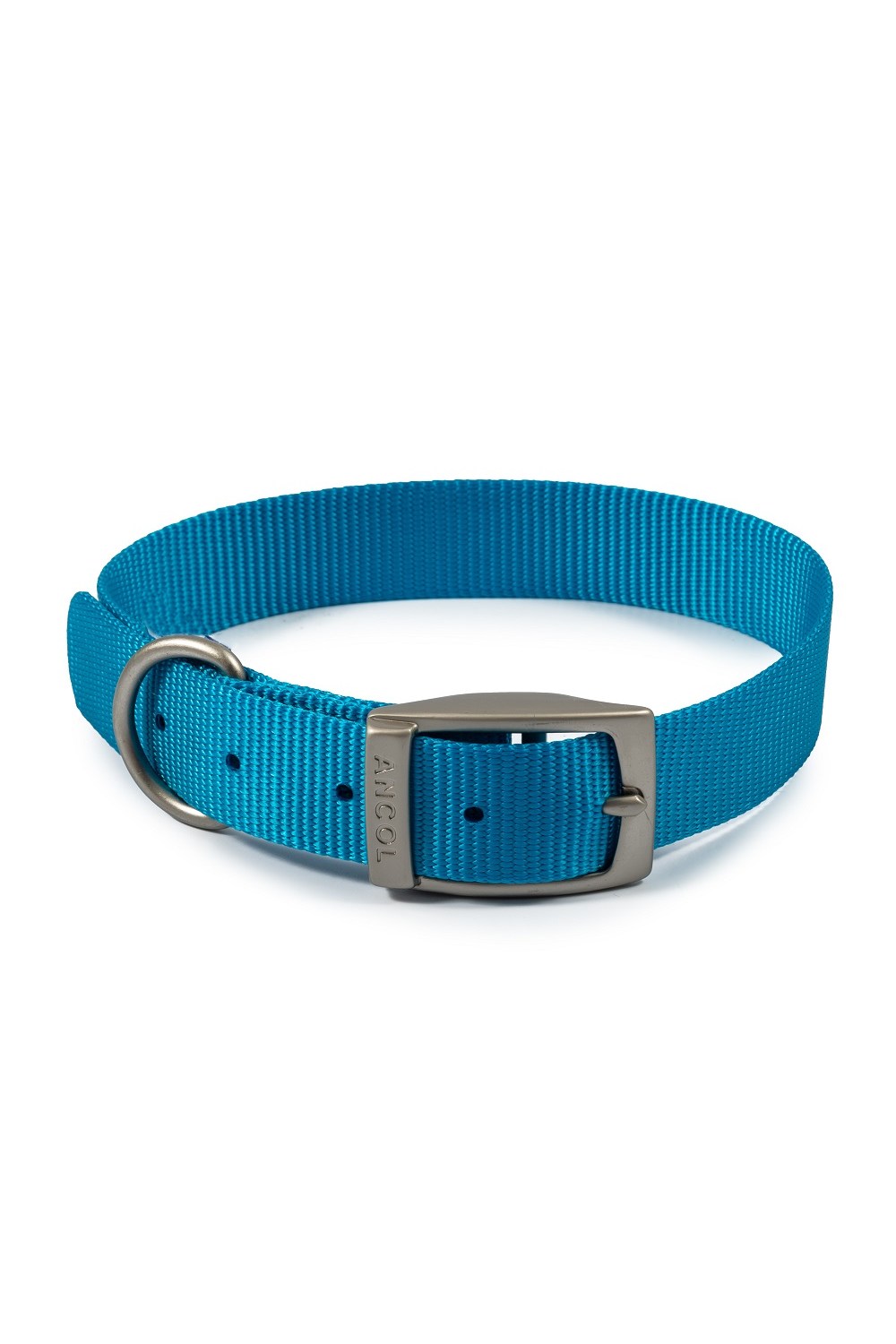 Ancol Nylon Dog Collar (Aqua Blue) (13.78in - 16.93in)