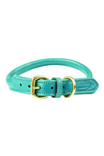 Load image into Gallery viewer, Weatherbeeta Rolled Leather Dog Collar (Teal) (S)