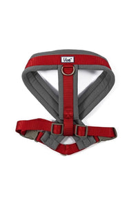 Ancol Padded Dog Harness (Gray/Red) (20.47in - 27.95in)