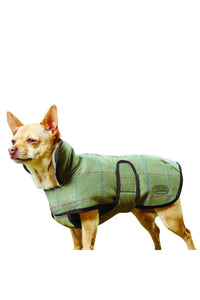 Weatherbeeta Tweed Dog Coat II (Olive) (23.6in) (23.6in)
