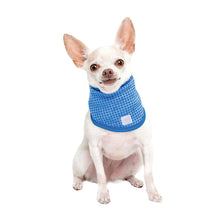 Load image into Gallery viewer, Ice Band - Dog Cooling Bandana