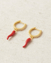 Load image into Gallery viewer, Spicy Earrings