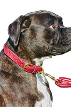 Load image into Gallery viewer, Weatherbeeta Rolled Leather Dog Collar (Maroon) (S)