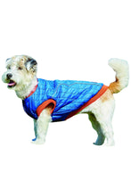 Load image into Gallery viewer, Weatherbeeta Puffer Dog Coat (Blue/Flame) (19.7 inches) (19.7 inches)