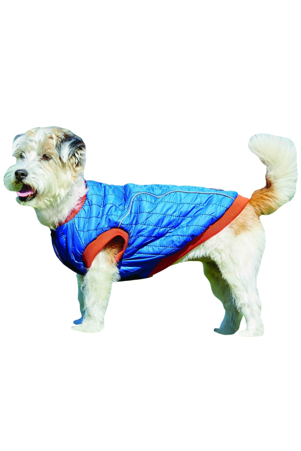 Weatherbeeta Puffer Dog Coat (Blue/Flame) (19.7 inches) (19.7 inches)