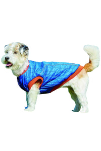 Weatherbeeta Puffer Dog Coat (Blue/Flame) (21.7 inches) (21.7 inches)