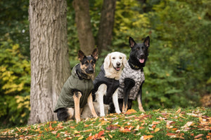 US Army Dog Parka