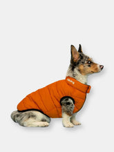Load image into Gallery viewer, Olive and Orange Pack N&#39; Go Reversible Puffer