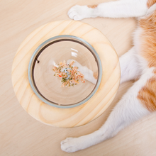 Load image into Gallery viewer, Outerspace Pet Bowl