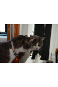 Rogz Nightcat Cat Collar (Orange) (One Size)