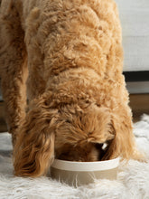 Load image into Gallery viewer, Dipper Ceramic Dog Bowl