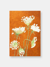 Load image into Gallery viewer, Art Print:  Queen Anne&#39;s Lace on Rusty Orange