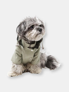 Dog Raincoat - Light Moss