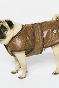 Danish Design Pet Products Waggles Dog Coat (Brown) (21.6in) (21.6in)