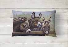 Load image into Gallery viewer, 12 in x 16 in  Outdoor Throw Pillow Donkeys by Daphne Baxter Canvas Fabric Decorative Pillow