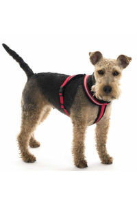 Halti Comfy Dog Harness (Red) (S)