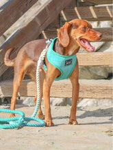Load image into Gallery viewer, Rope Leash - Ombre Teal