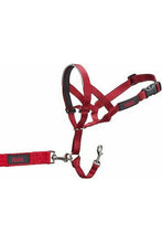 Load image into Gallery viewer, Halti Head Collar (Red) (Size 1)