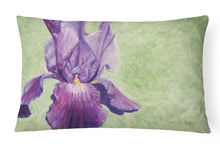 Load image into Gallery viewer, 12 in x 16 in  Outdoor Throw Pillow Purple Iris by Malenda Trick Canvas Fabric Decorative Pillow