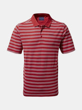 Load image into Gallery viewer, Craghoppers Mens Stanton Stripe Polo Shirt (Pompeian Red)
