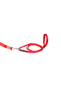 Canny Dog Training Collar (Red) (4)