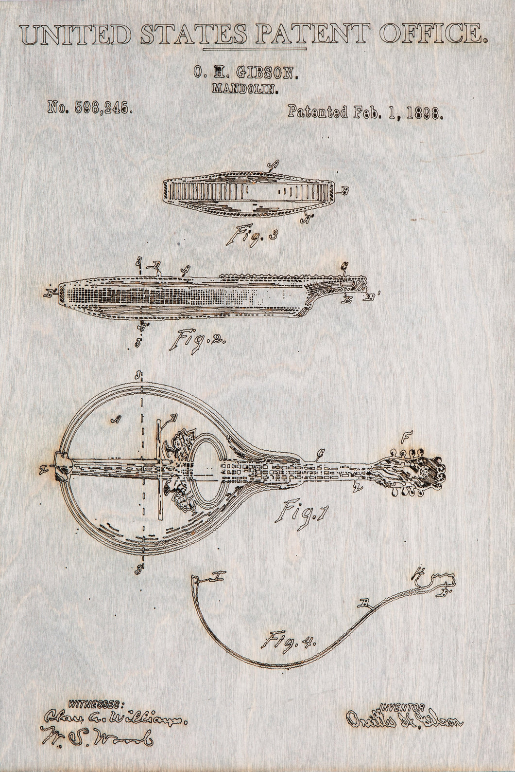 Mandolin Patent Print
