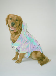 Weather Proof Pet Coat