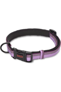 HALTI Dog Collar (Purple/Black) (L)