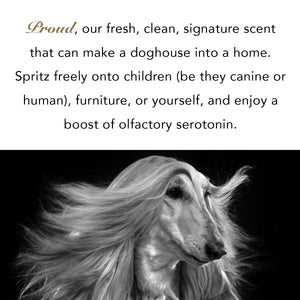 Proud The Scent For Pet