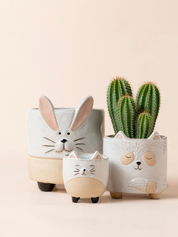 Robins Rabbit, Raccoon & Kitty Pots - 5.4 + 4.3 +3.1 Inch
