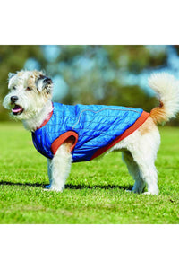 Weatherbeeta Puffer Dog Coat (Blue/Flame) (19.7 inches) (19.7 inches)