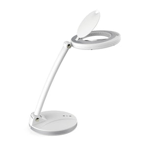 Waylon 13.8" Magnifying LED Desk Lamp