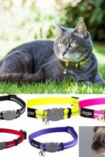 Load image into Gallery viewer, Rogz Alleycat Cat Collar (Yellow) (One Size)