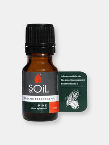 Organic Pine Essential Oil (Pinus Sylvestris) 10ml