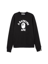 Load image into Gallery viewer, College Crewneck Sweater