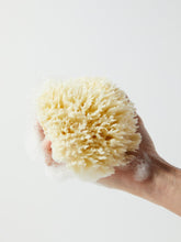 Load image into Gallery viewer, Wool Bath Sponge