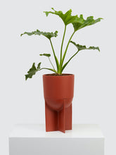 Load image into Gallery viewer, Eros Planter