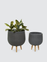 Load image into Gallery viewer, Diamond-Patterned Planters, Set Of 2