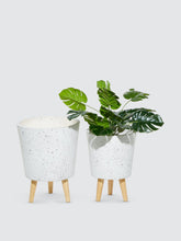 Load image into Gallery viewer, Speckled Planters, Set Of 2