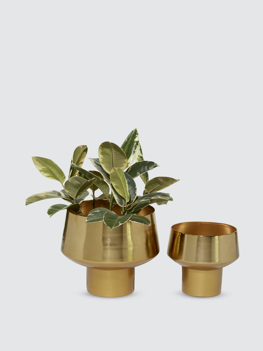Metallic Footed Planters, Set Of 2