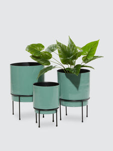 Glossy Contemporary Planter - Set Of 3
