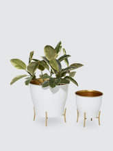 Load image into Gallery viewer, Metal Enamel Planters - Set Of 2