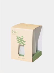 Mint Indoor Garden Kit