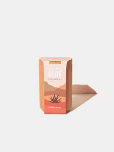 Healing Aloe Terracotta Grow Kit