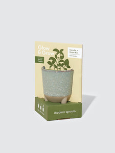 Herb Garden Basil Glow & Grow Kit