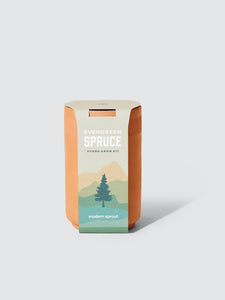 Evergreen Spruce Terracotta Grow Kit
