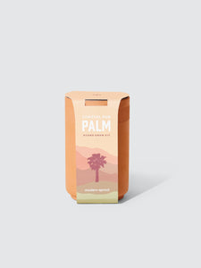 Coastal Fan Palm Terracotta Grow Kit