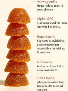 Rise Up Nootropic Focus Gummies with Alpha-GPC and Lion's Mane