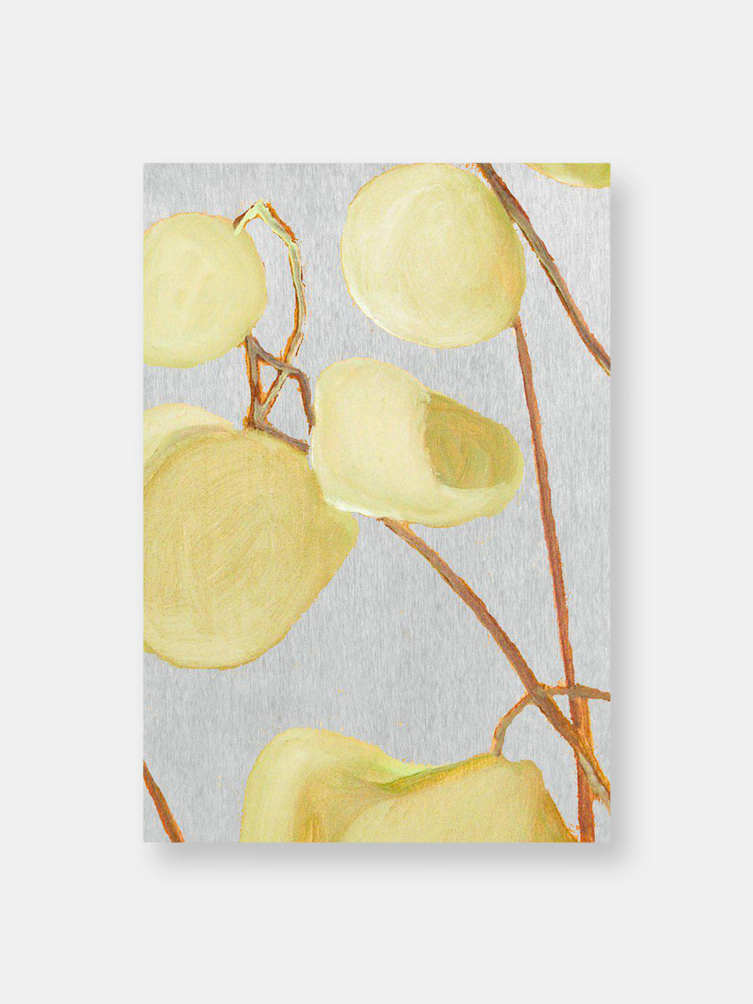 Art Print:  Milkweed on Pale Grey