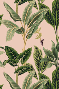 Eco-Friendly Vintage Tropical Wallpaper